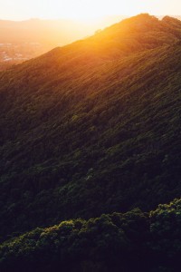 Sunset over the hills in Byron Bay